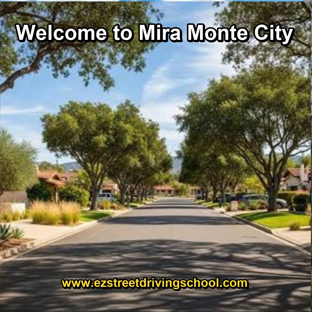 Driving Lessons in Mira Monte